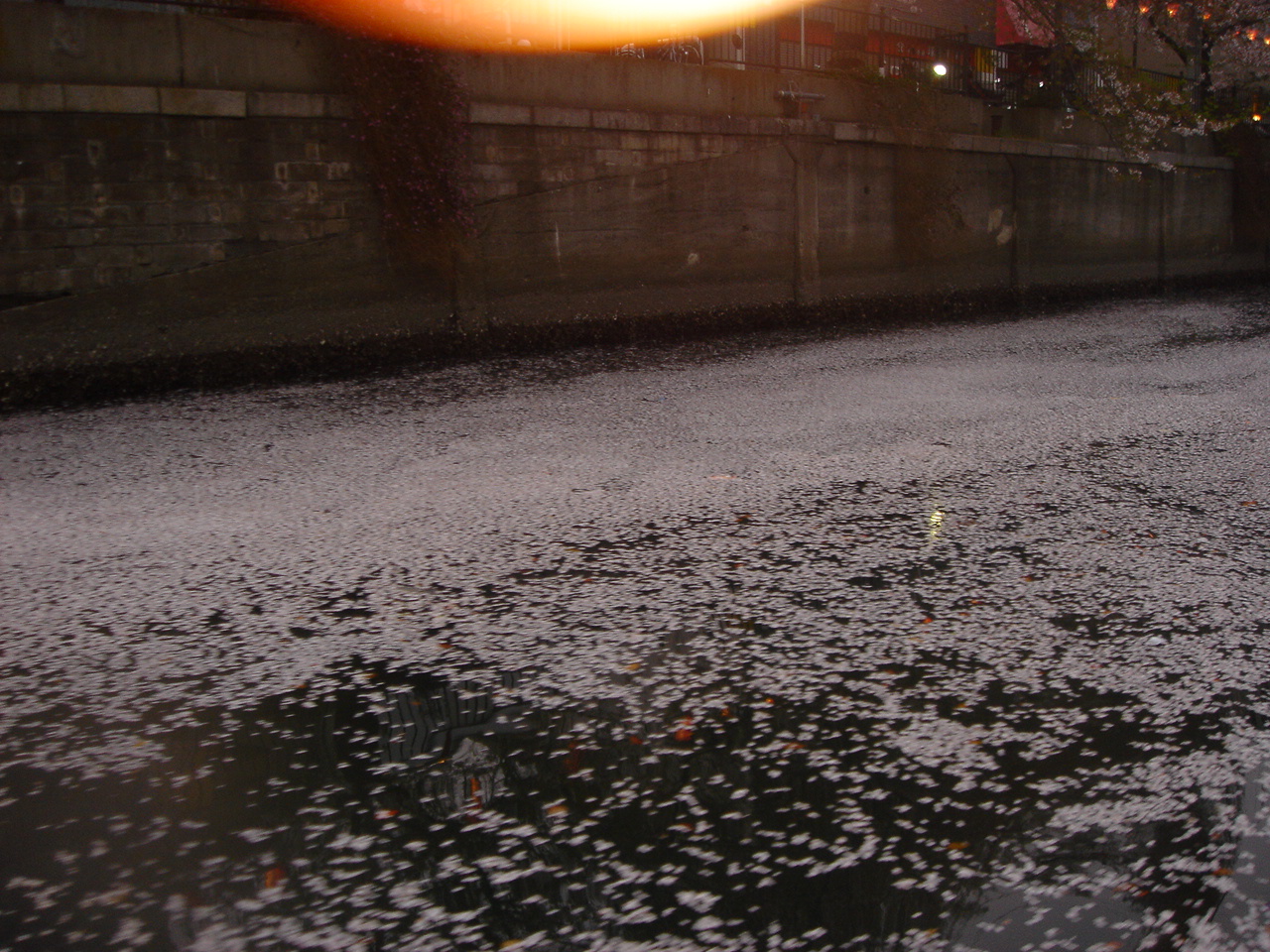 DSC01670.JPG